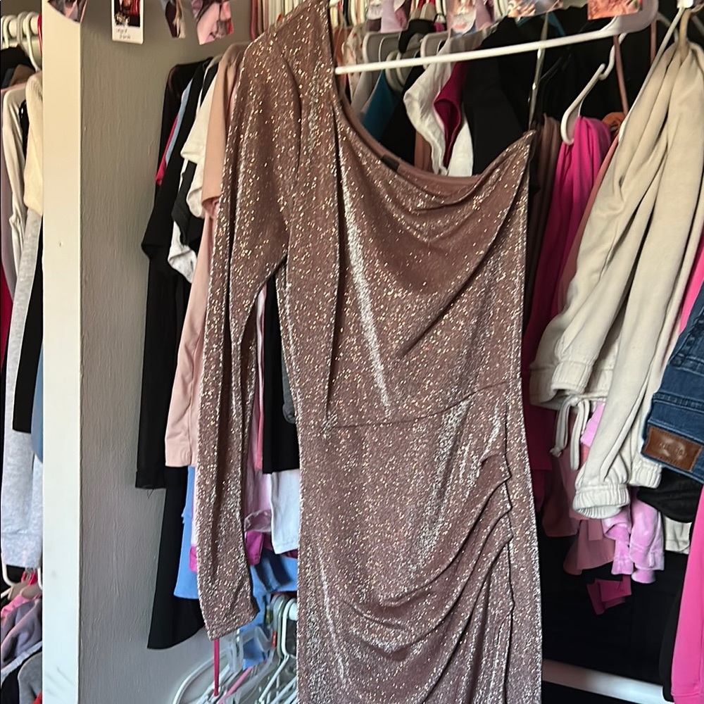 Elegant Windsor Glittering Dress